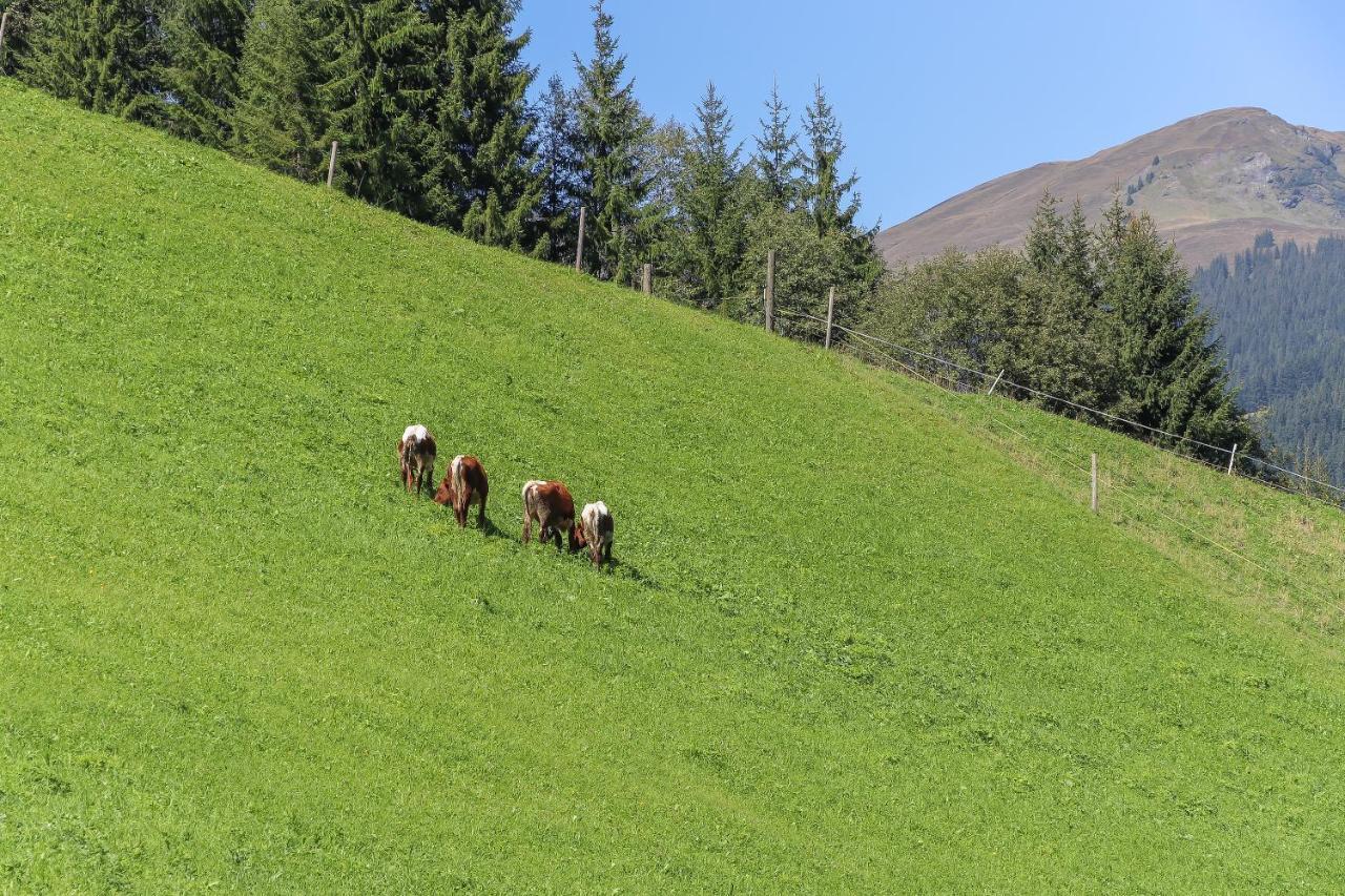 Appartement Landhaus Hinterglemm à Saalbach-Hinterglemm Extérieur photo